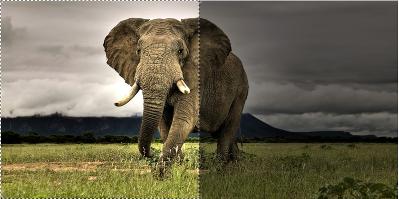 The suggested crop for a 1:1 ratio